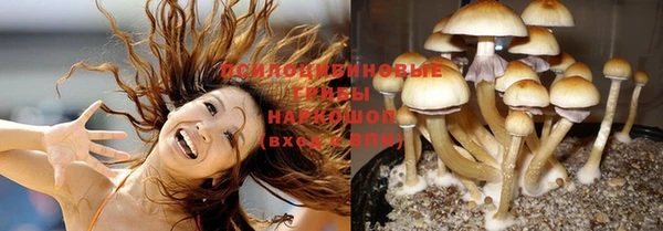 PSILOCYBIN Баксан