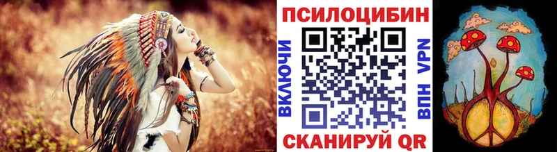 купить наркотик  Дыгулыбгей  Псилоцибиновые грибы Cubensis 